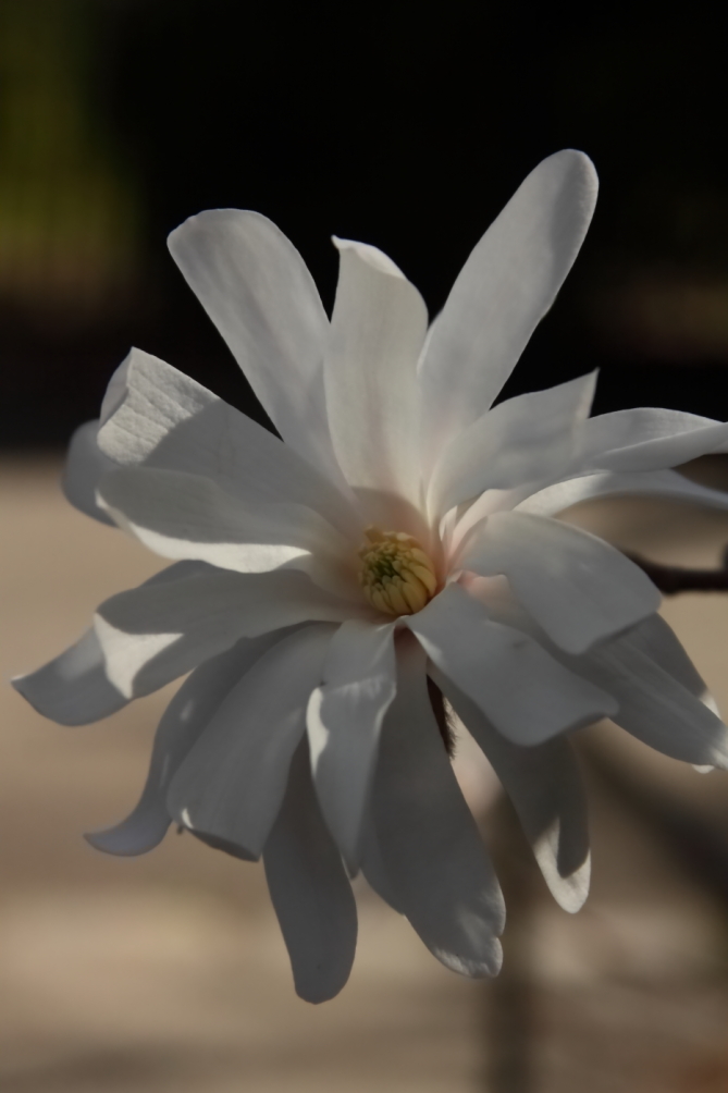 2012 03 20 9999 268